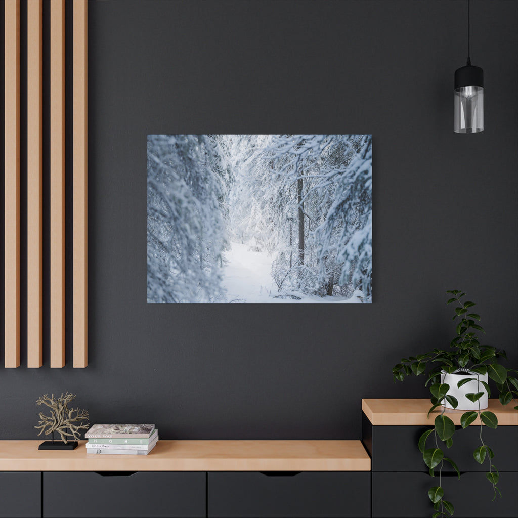 Winter Forest in Alaska Canvas Wall Art | Snowy Landscape Photography