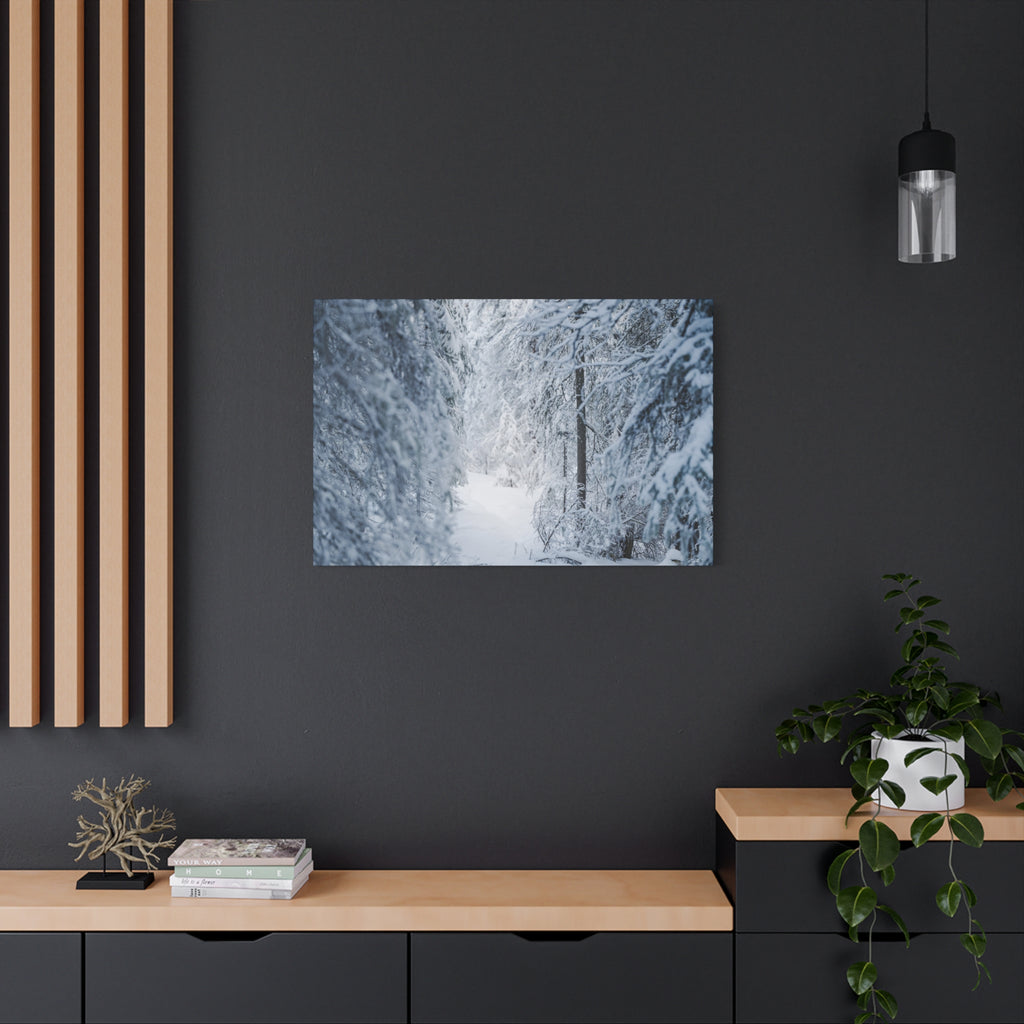 Winter Forest in Alaska Canvas Wall Art | Snowy Landscape Photography