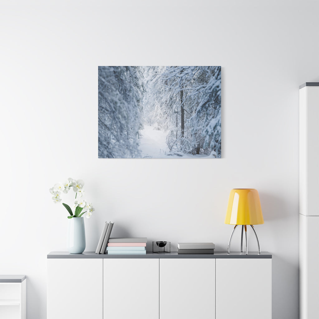 Winter Forest in Alaska Canvas Wall Art | Snowy Landscape Photography