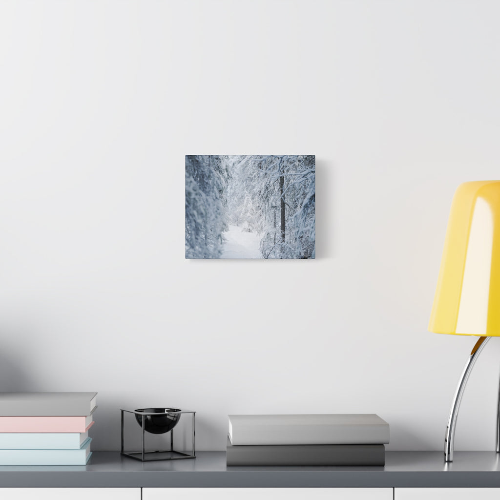 Winter Forest in Alaska Canvas Wall Art | Snowy Landscape Photography