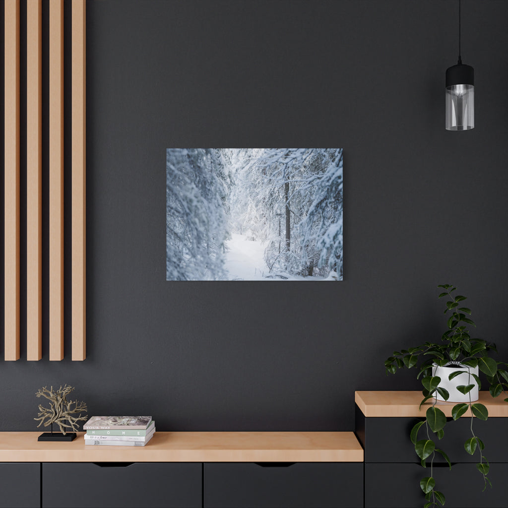 Winter Forest in Alaska Canvas Wall Art | Snowy Landscape Photography