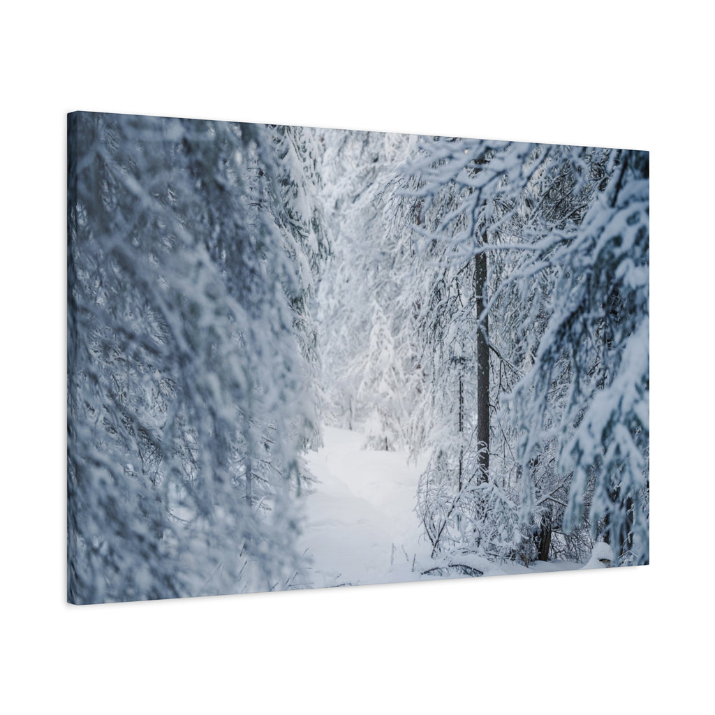 Winter Forest in Alaska Canvas Wall Art | Snowy Landscape Photography