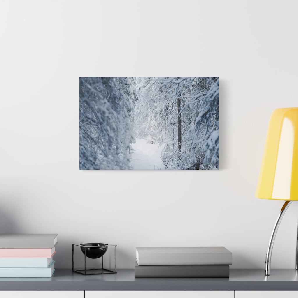 Winter Forest in Alaska Canvas Wall Art | Snowy Landscape Photography