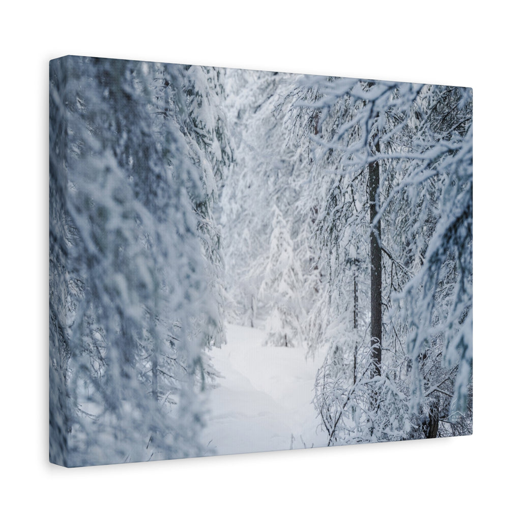Winter Forest in Alaska Canvas Wall Art | Snowy Landscape Photography