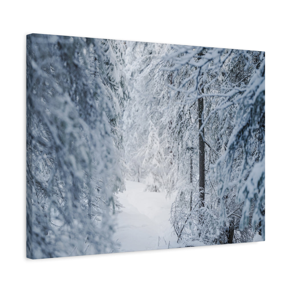 Winter Forest in Alaska Canvas Wall Art | Snowy Landscape Photography