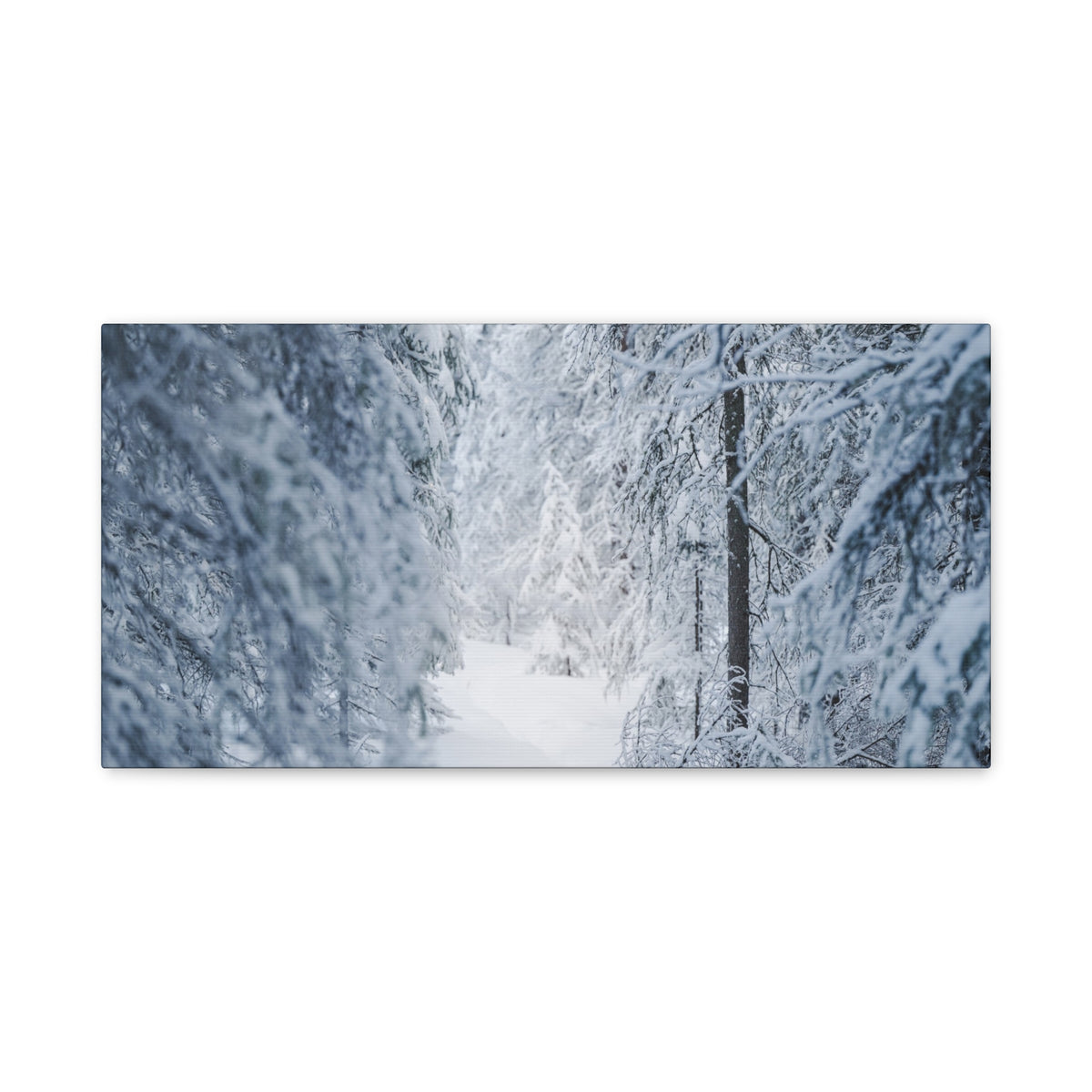Winter Forest in Alaska Canvas Wall Art | Snowy Landscape Photography