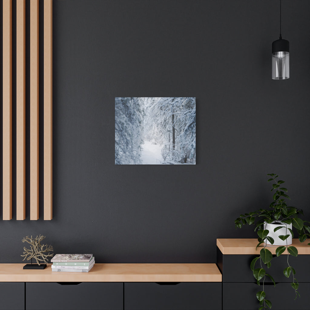 Winter Forest in Alaska Canvas Wall Art | Snowy Landscape Photography