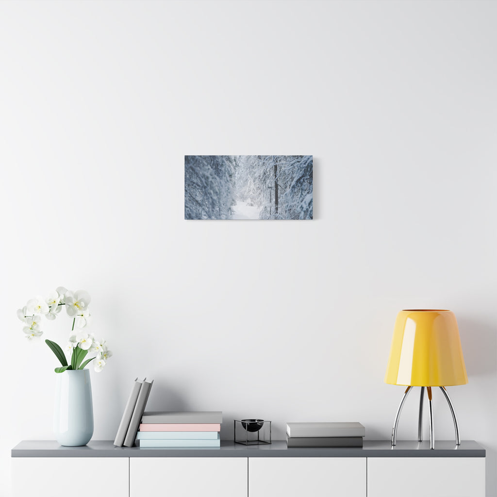 Winter Forest in Alaska Canvas Wall Art | Snowy Landscape Photography