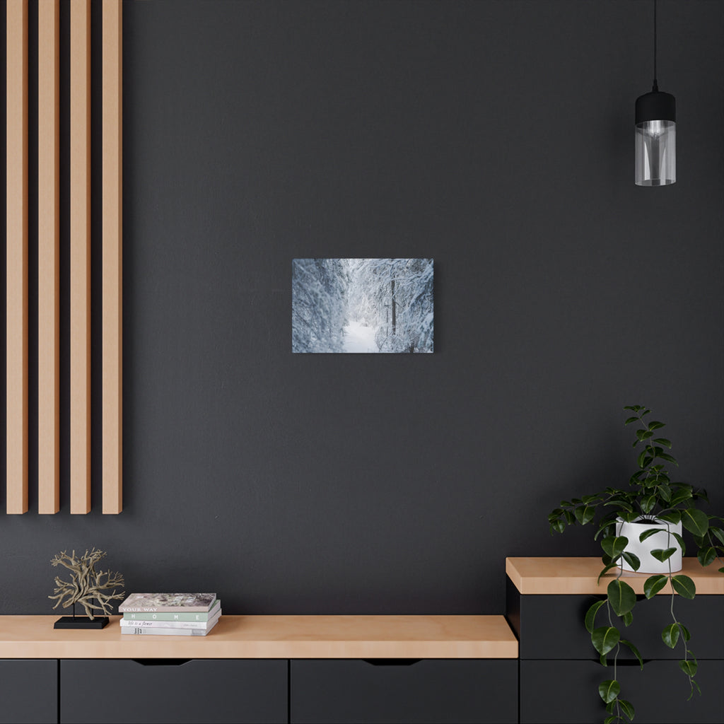 Winter Forest in Alaska Canvas Wall Art | Snowy Landscape Photography
