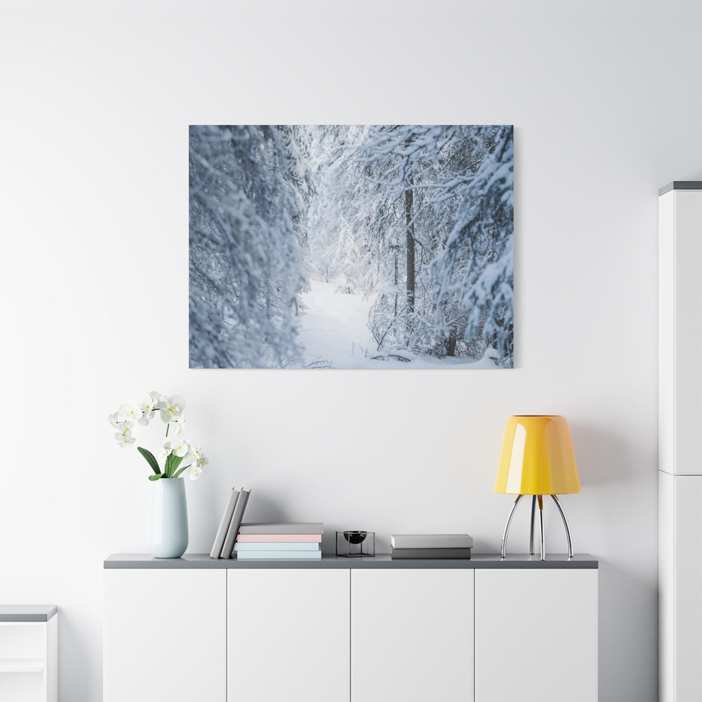 Winter Forest in Alaska Canvas Wall Art | Snowy Landscape Photography