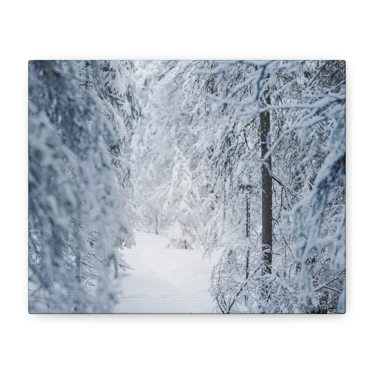 Winter Forest in Alaska Canvas Wall Art | Snowy Landscape Photography