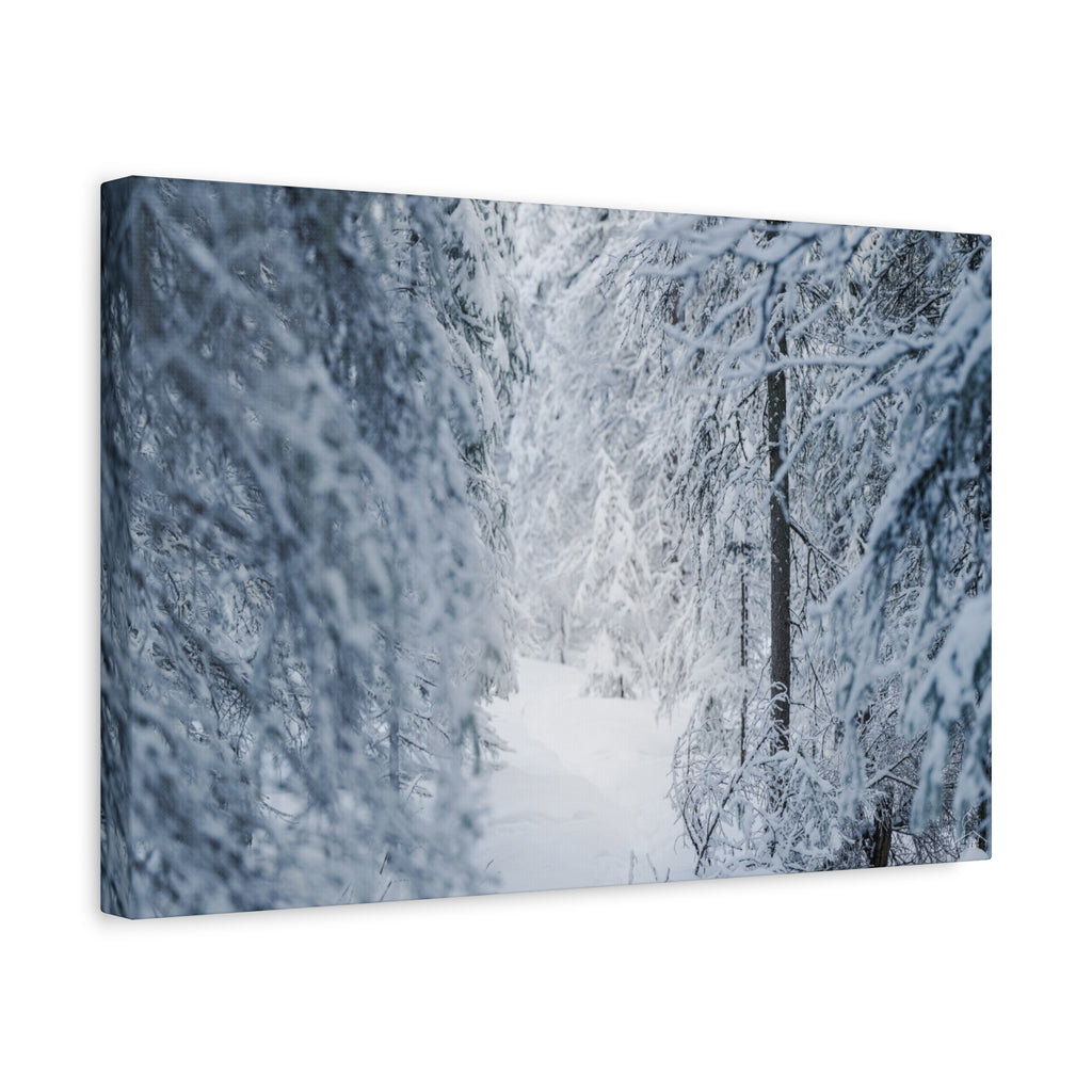Winter Forest in Alaska Canvas Wall Art | Snowy Landscape Photography