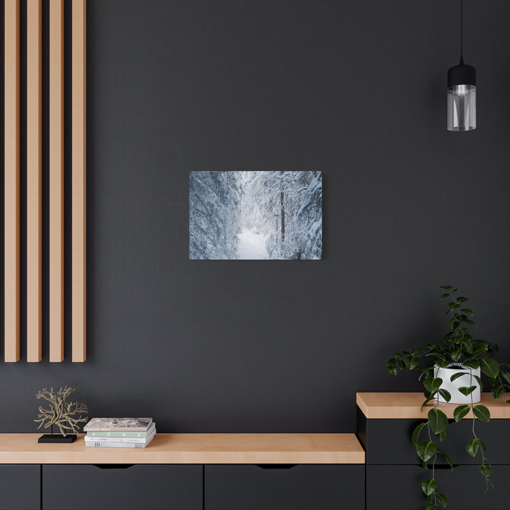 Winter Forest in Alaska Canvas Wall Art | Snowy Landscape Photography