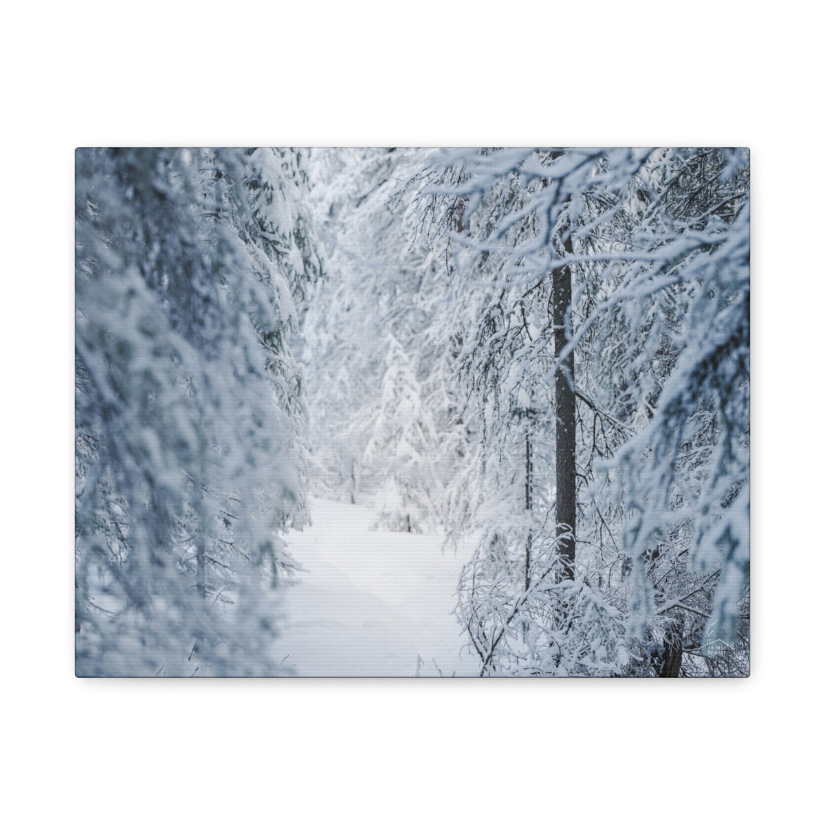 Winter Forest in Alaska Canvas Wall Art | Snowy Landscape Photography