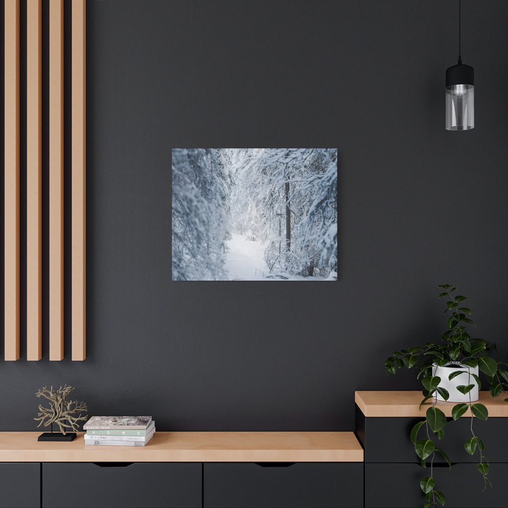 Winter Forest in Alaska Canvas Wall Art | Snowy Landscape Photography