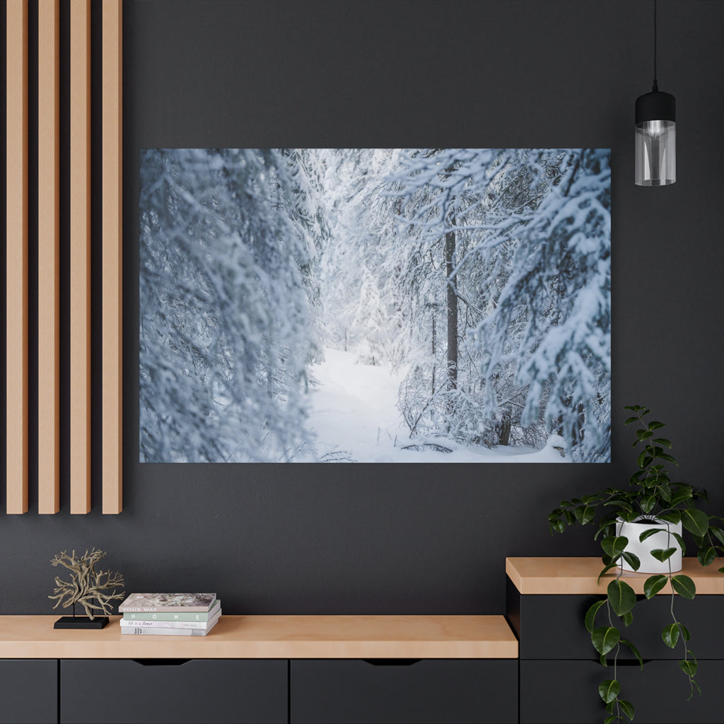Winter Forest in Alaska Canvas Wall Art | Snowy Landscape Photography
