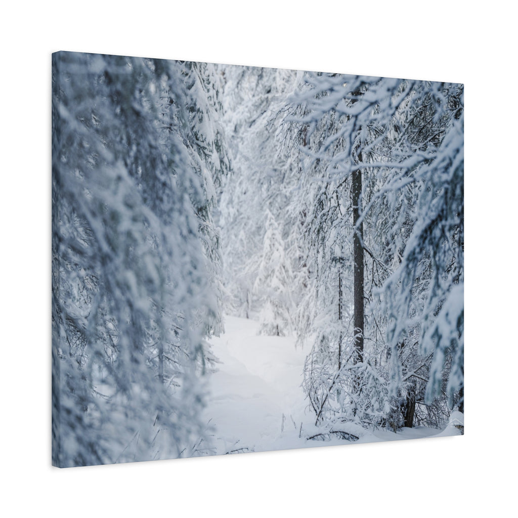 Winter Forest in Alaska Canvas Wall Art | Snowy Landscape Photography