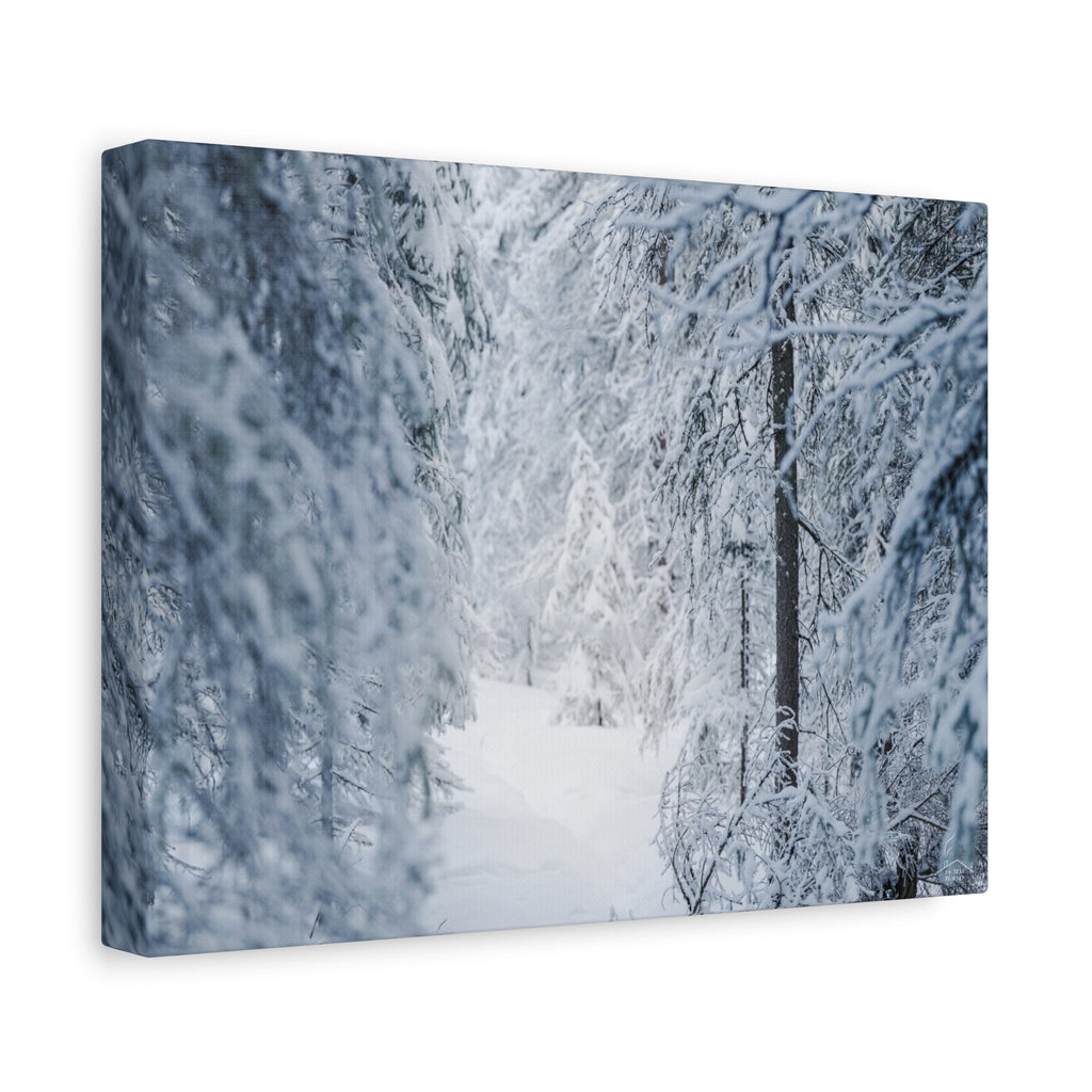 Winter Forest in Alaska Canvas Wall Art | Snowy Landscape Photography