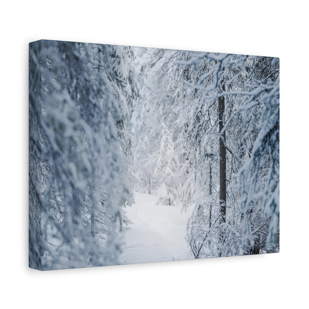 Winter Forest in Alaska Canvas Wall Art | Snowy Landscape Photography