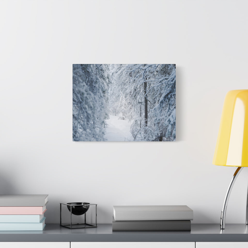 Winter Forest in Alaska Canvas Wall Art | Snowy Landscape Photography