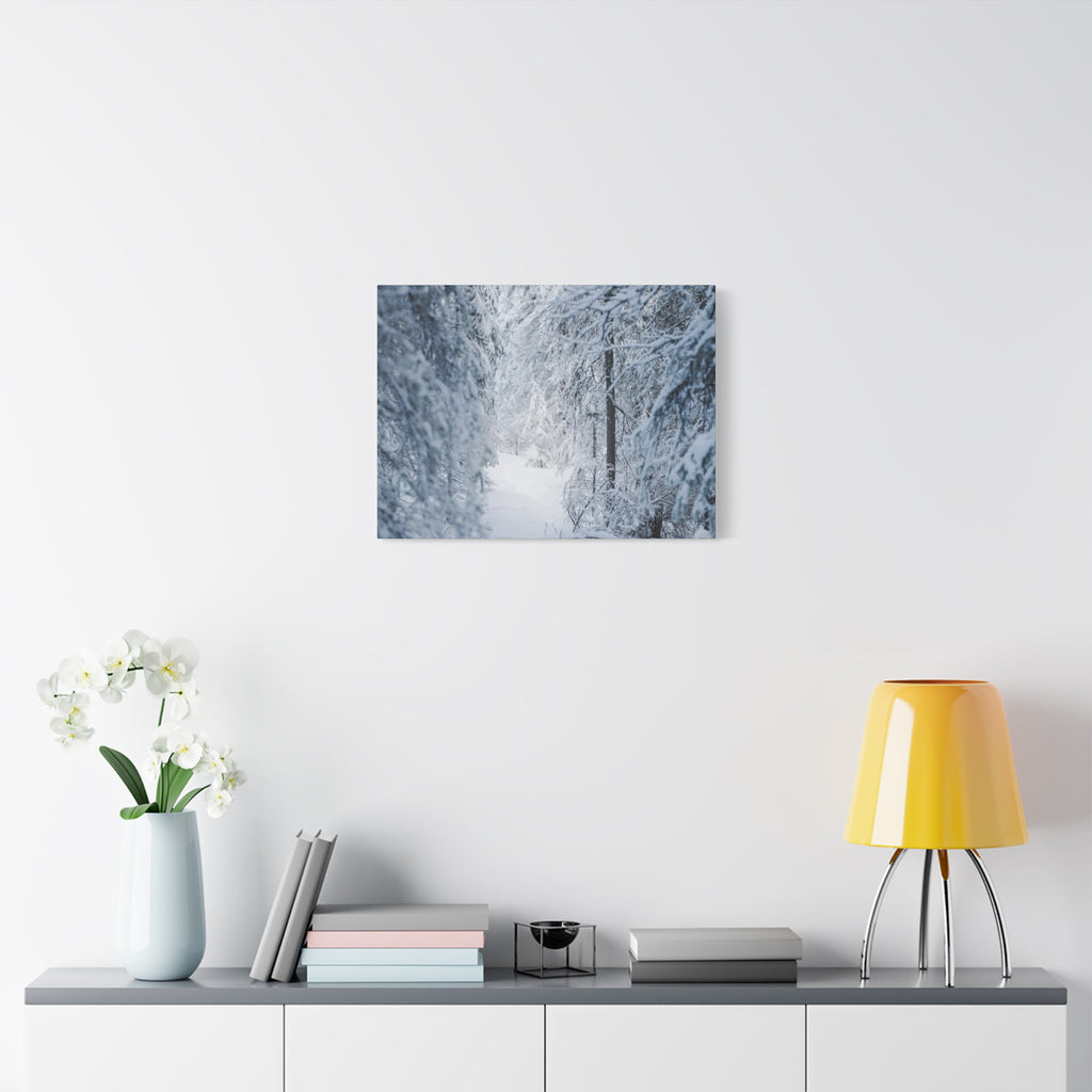 Winter Forest in Alaska Canvas Wall Art | Snowy Landscape Photography