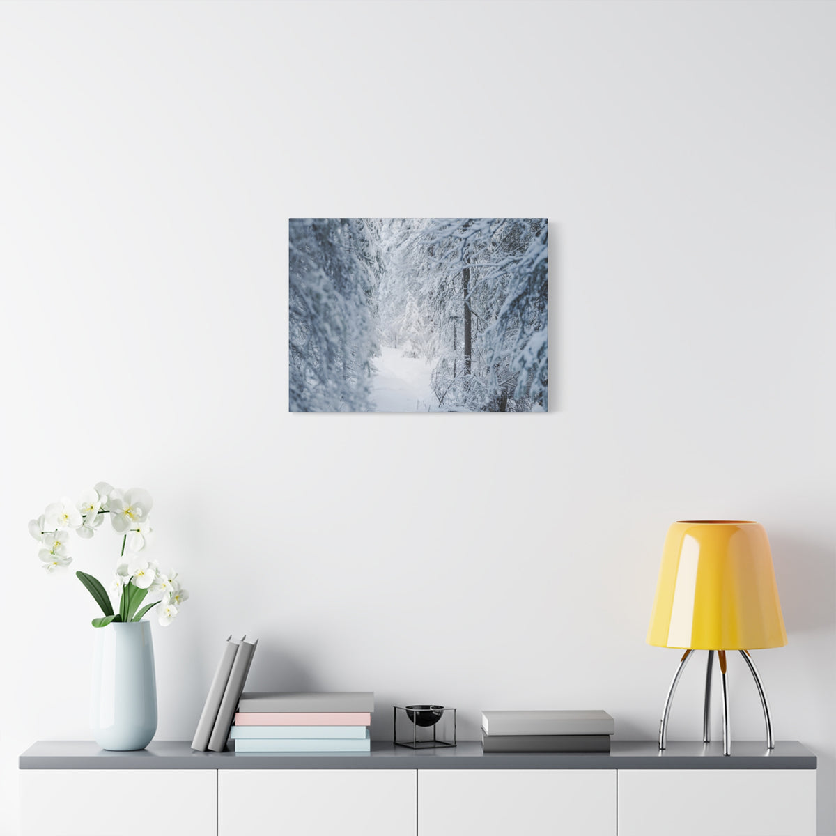 Winter Forest in Alaska Canvas Wall Art | Snowy Landscape Photography