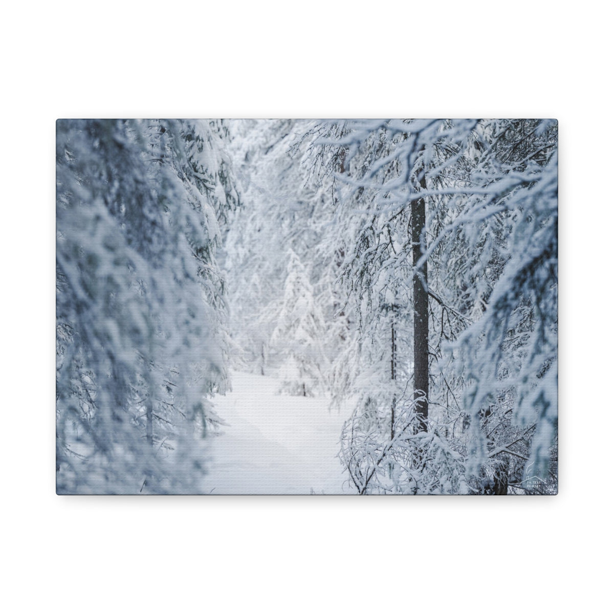 Winter Forest in Alaska Canvas Wall Art | Snowy Landscape Photography