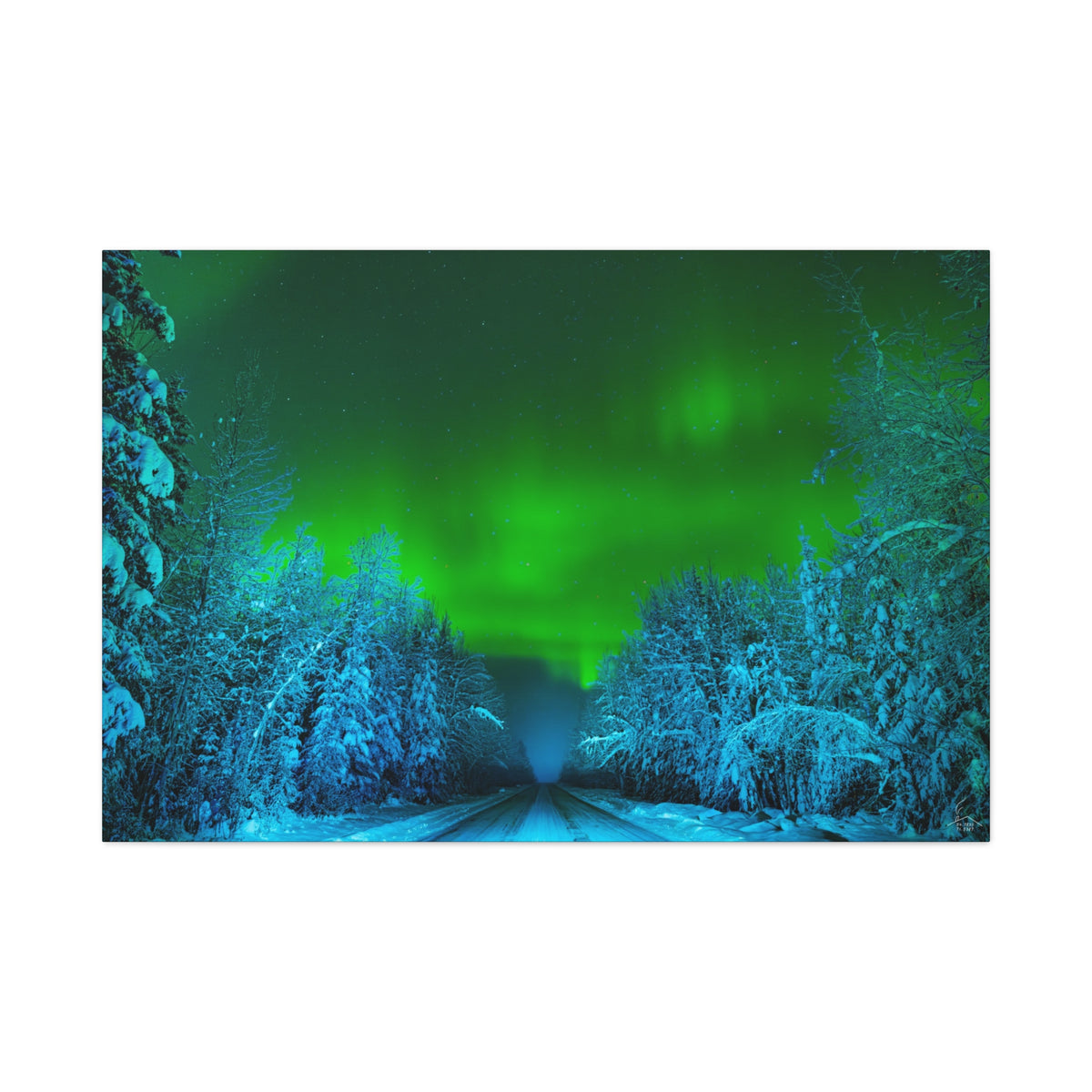 Alaska Aurora Road – Northern Lights Canvas Print