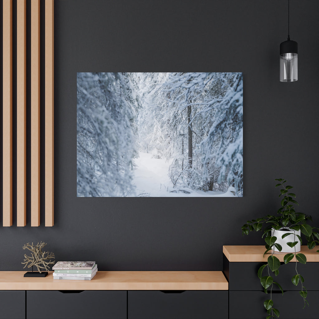 Winter Forest in Alaska Canvas Wall Art | Snowy Landscape Photography