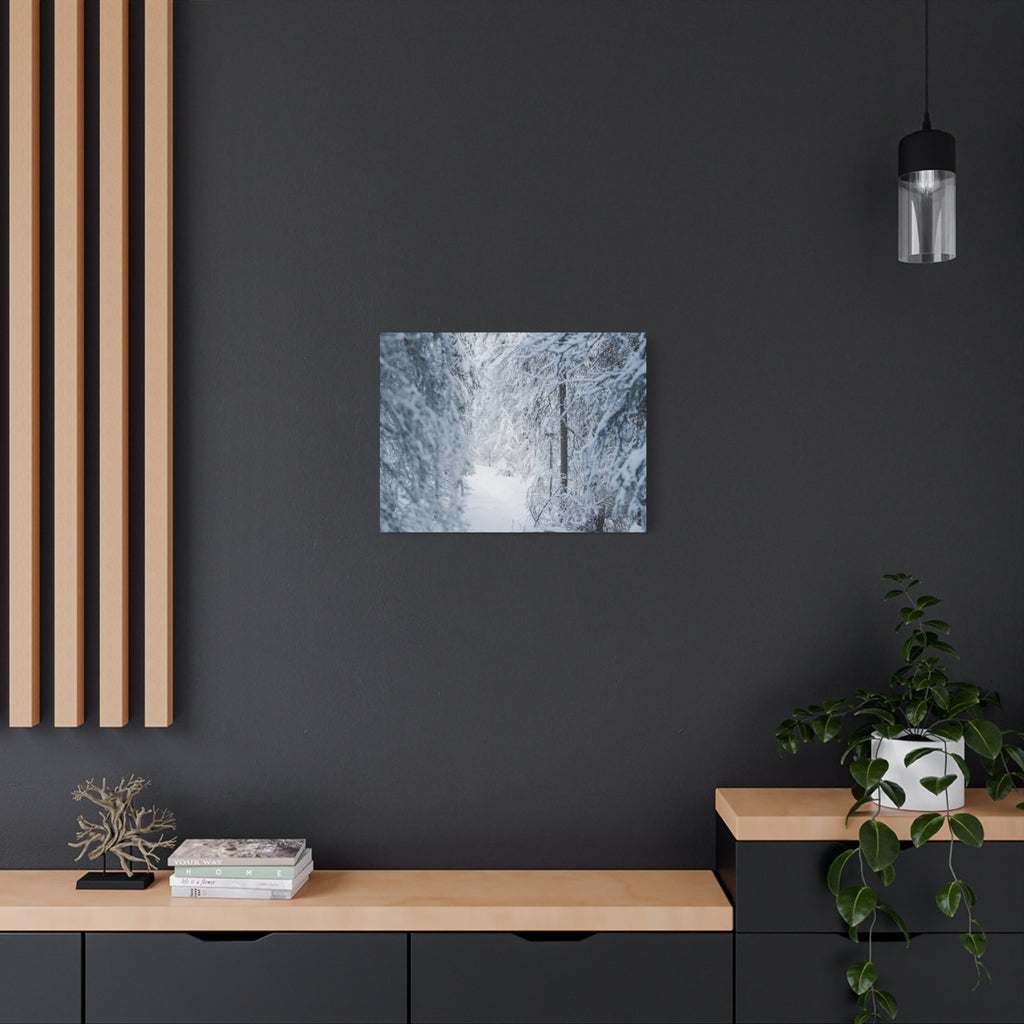 Winter Forest in Alaska Canvas Wall Art | Snowy Landscape Photography