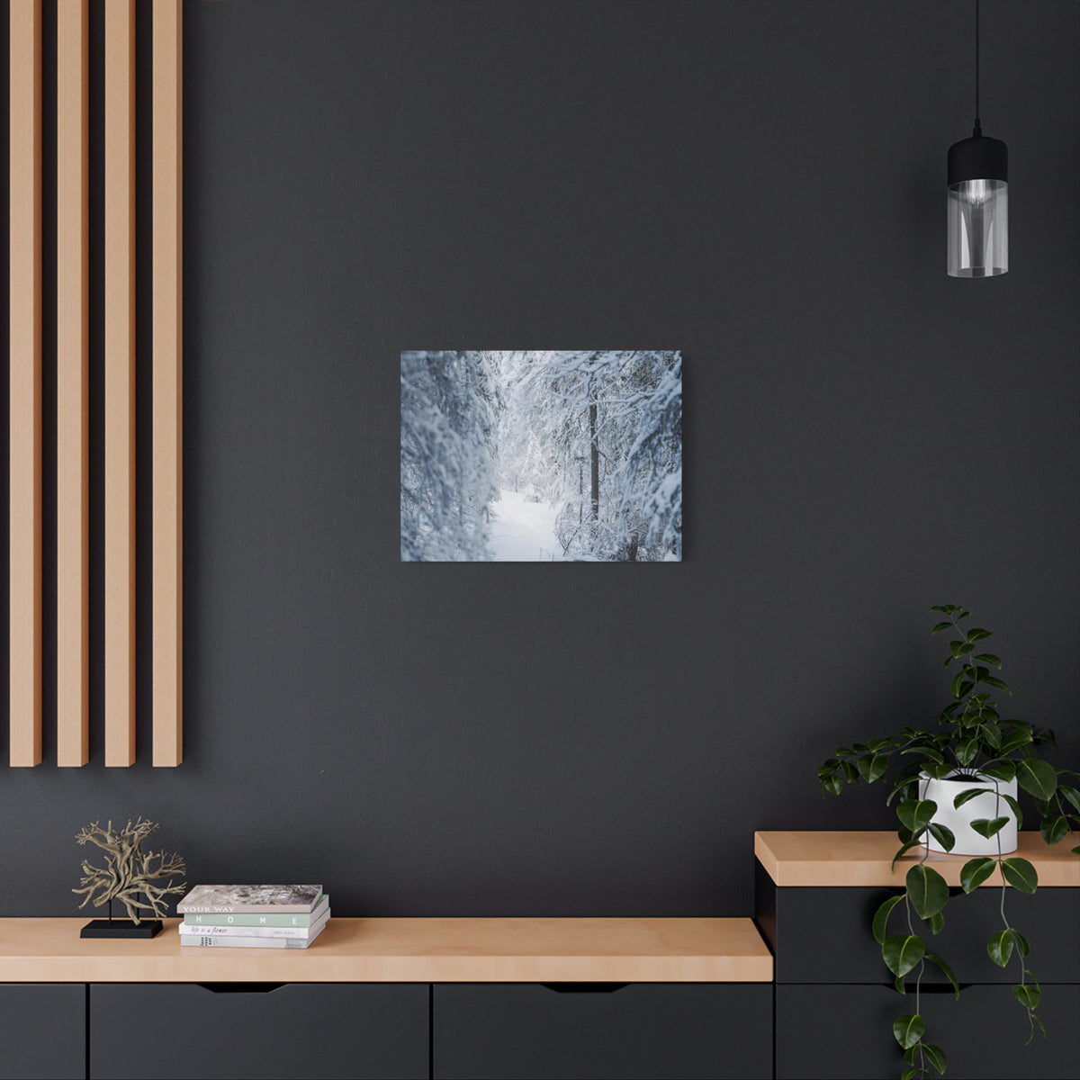 Winter Forest in Alaska Canvas Wall Art | Snowy Landscape Photography