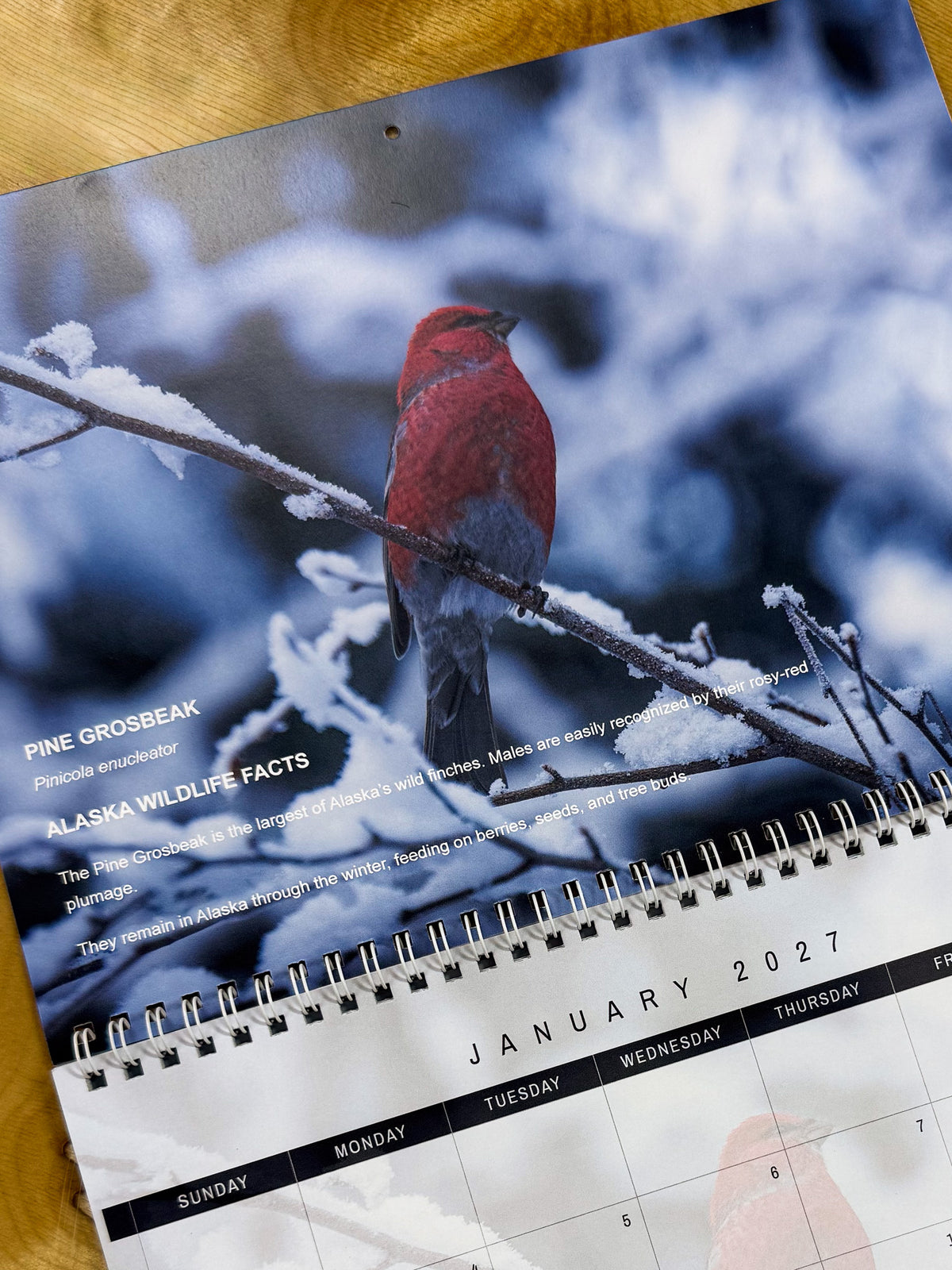 Alaska Wildlife 2027 Calendar