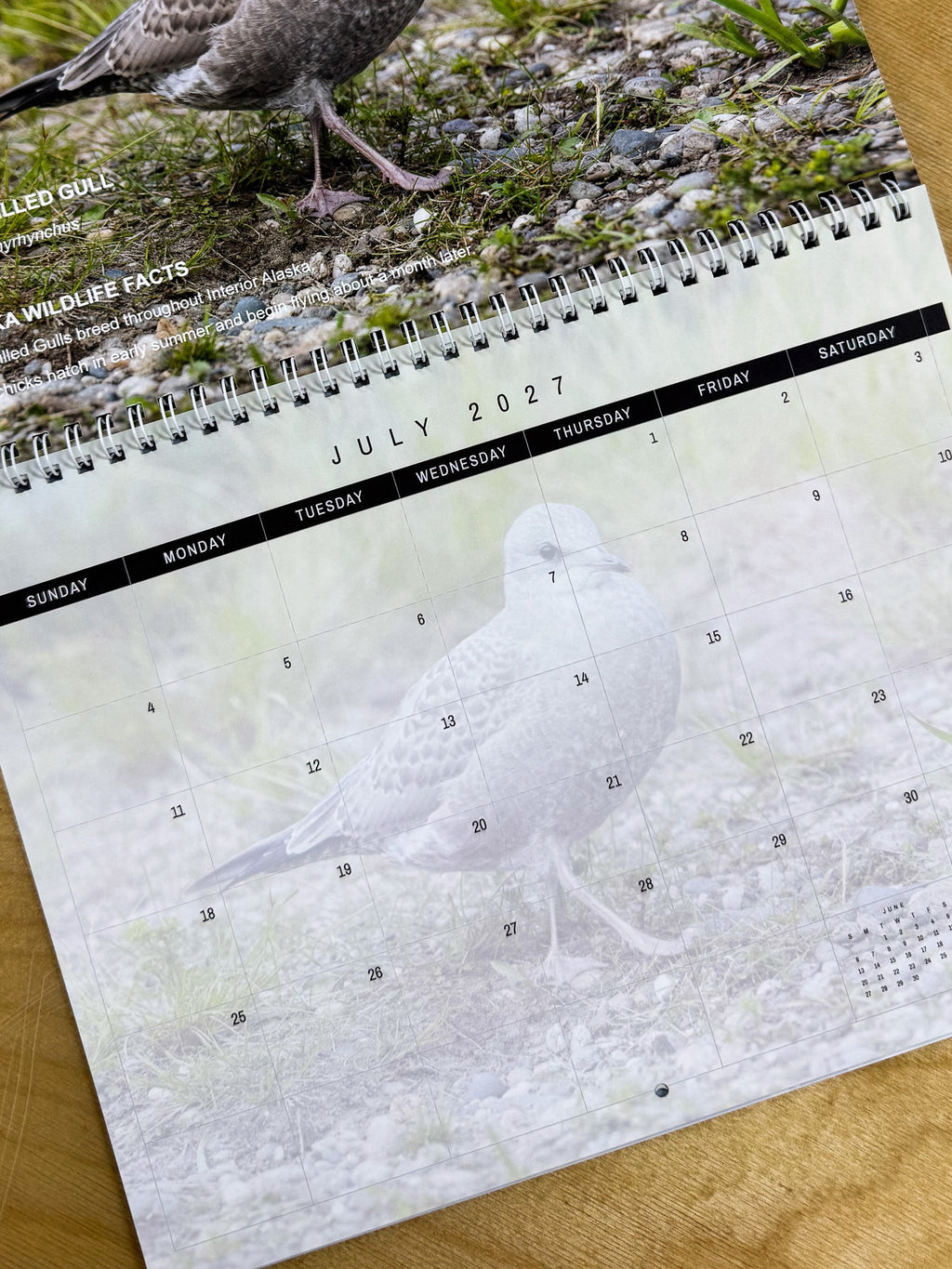 Alaska Wildlife 2027 Calendar