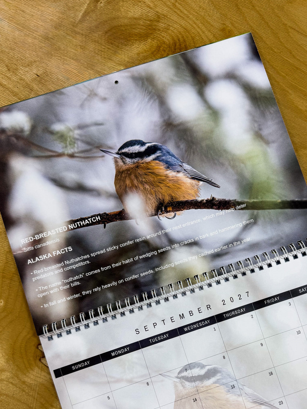 Alaska Wildlife 2027 Calendar