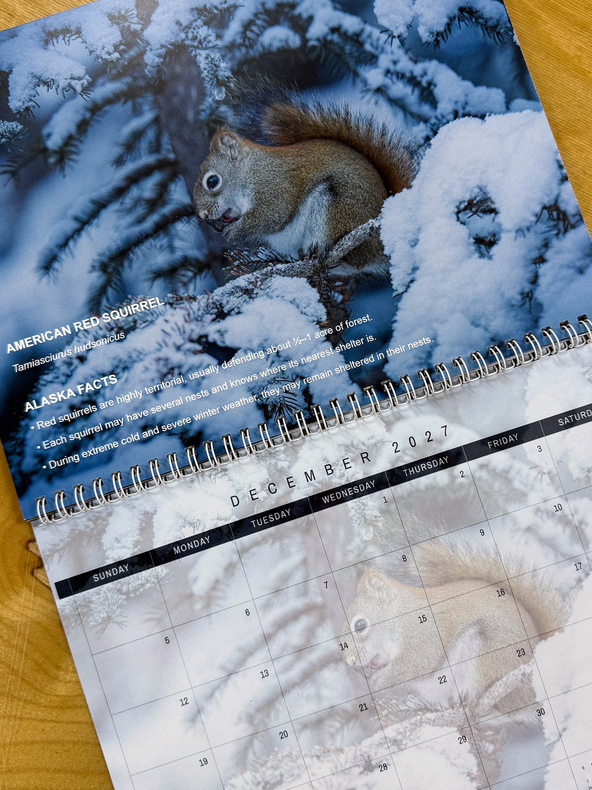 Alaska Wildlife 2027 Calendar