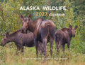 Book Cover Variant Thumbnail